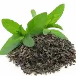 Organic Green Tea